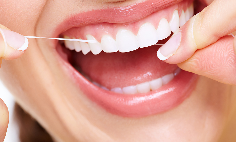 1495848 endodontics bartram park