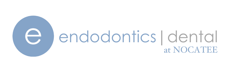 endodontics nocatee
